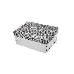 Caixa Oganizadora Transparente Para Objetos 270 X 370 X 150 Mm